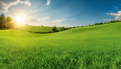 Spring summer background featuring beautiful panoramic natural landscape of green field with grass against blue sky with sun