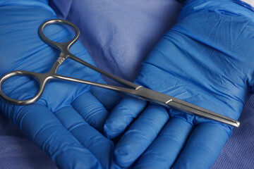 Doctor wearing blue medical gloves holding Allis Intestinal and Tissue grasping forceps, are...
