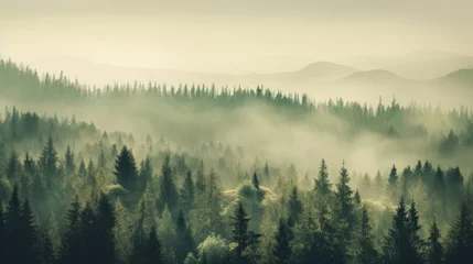Aluminium Prints Forest in fog Misty landscape with fir forest in vintage retro style, Nature background. Generetive Ai