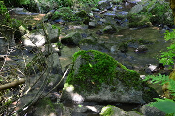Rocks in the Canyon Lotenbachklamm in the Black Forest, Baden - Württemberg