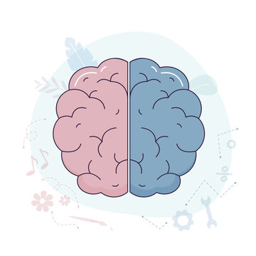 Creativity, thinking mind. Left and right brain parts. Brain cerebral hemispheres painterly symbolic colorful figure with flowchart and activity zones.