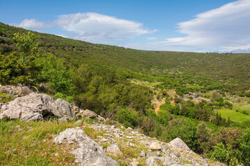 Fototapeta na wymiar The spring landscape near Praznica on Brac Island in Croatia in May