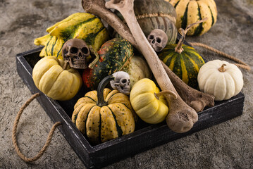 Halloween still life with pumpkin and bones