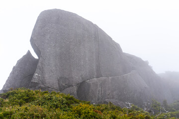 The view between Mt. Kuromi and Mt. Miyanoura in Yakushima