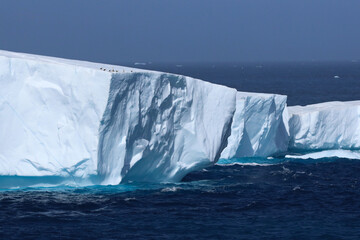 iceberg in polar regions