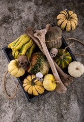 Halloween still life with pumpkin and bones