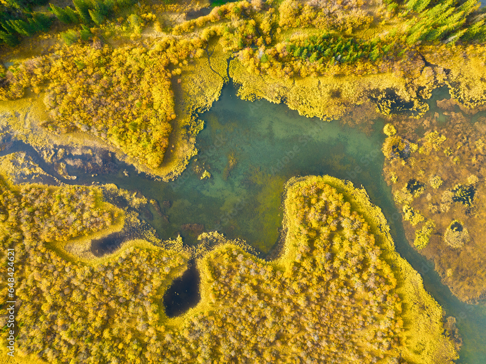 Wall mural fall landscape. a drone view of the river and lake in the woods. an aerial view of an autumn forest.