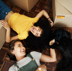New home, dog and happy couple of friends moving, relax and bond on house, real estate or property...
