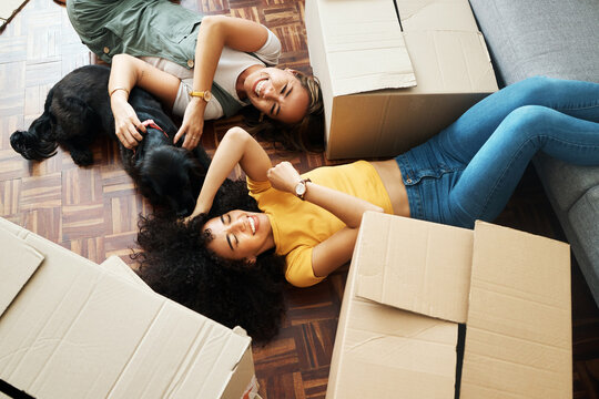 Moving, Boxes And Couple With A Dog In New Home, Living Room Or Women Relax Together On Floor Bonding With Puppy Or Pet. Girls, Laughing And Happiness In House With People, Love And Animal From Above