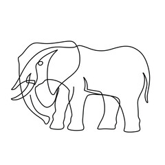 Vector continuous elephant line cat illustration