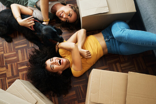 Moving, boxes and couple with a dog in new home, living room or women relax together on floor bonding with puppy or pet. Girl, laughing and happiness in house with people, love and animal from above