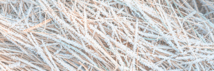 The grass is covered with frost. Beautiful natural background with hoarfrost on the grass. Ground texture with frozen meadow plants. Rime ice on blades of grass during frosts. Cold weather.