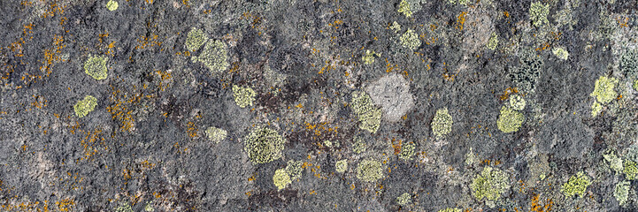 Natural texture of a stone covered with lichen. Lichenes patterns on a rock surface. Natural background. Closeup top view. The nature of the Arctic. Polar region.