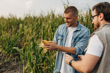 Two men in the field looking and examining corn crop.