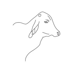 Cow head outline drawing on white background. 
