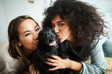 Women, portrait and dog with kiss on sofa in living room of home for puppy, love and happiness...