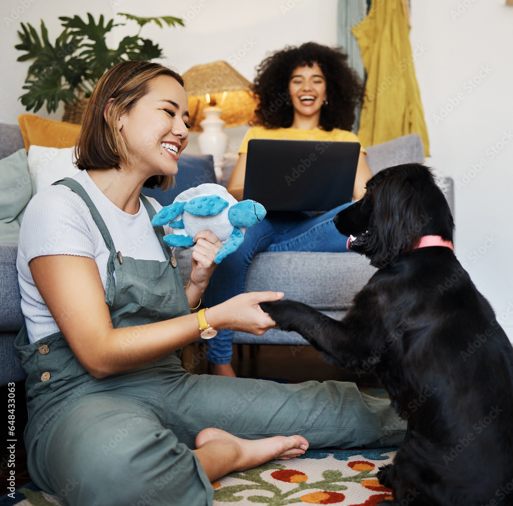 Poster Home, gay or happy couple with dog in house living room on floor to relax with paw trick, loyalty or love. Teaching pet, handshake or woman playing with an animal with care, support or smile on mat