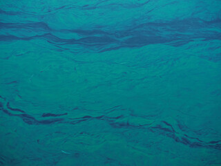 green water in the lake, closeup of photo