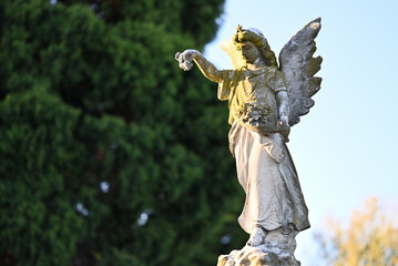Worn and moss covered stone statue or sculpture of an angel with an outstretched arm dropping...