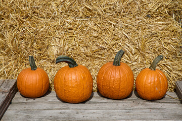 Orange pumpkins on wooden planks on hay background