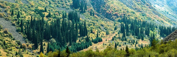 Panoramic view of Ala Archa forests, Kyrgyzstan, Middle Asia