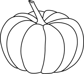 pumpkin on a white background