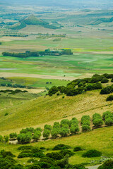 Fototapeta premium Parco regionale Piane di Gesturi. Natura e vegetazione tipica. Sud Sardegna. Italy