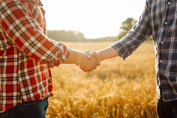 Farmer's handshake against the backdrop of a golden wheat field at sunset. Two farmers stand in a wheat field and seal the deal with a handshake. Agricultural business.