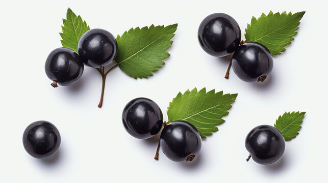 Frische Jabuticaba mit einzelnen Bl&auml;ttern und Kerne isoliert auf wei&szlig;em Hintergrund, with generative KI