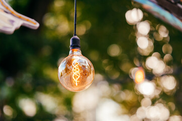 Edisson light bulb lightening and hanging outdoors in park over green background.