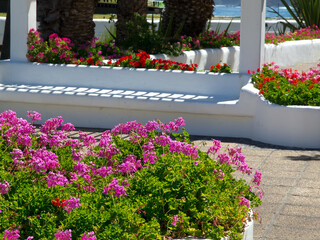 Die Kanareninsel Teneriffa