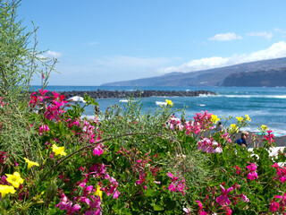 Die Kanareninsel Teneriffa