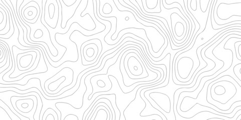 White wave paper curved reliefs abstract background. Topographic line contour map background. Topographic background monochrome abstract background. 
