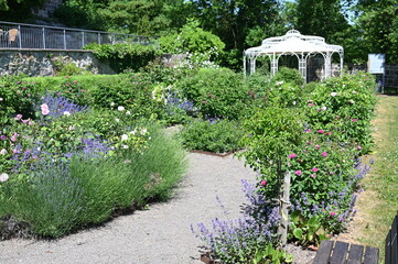 Romantischer Rosengarten mit weißer Laube im Hintergrund