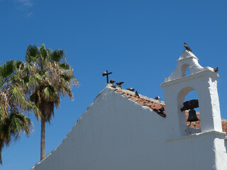 Die Kanareninsel Teneriffa