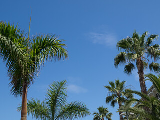 Fototapeta premium Die Kanareninsel Teneriffa