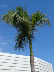 Die Kanareninsel Teneriffa