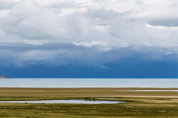 The beautiful blue Siling Co in Nagqu city Tibet Autonomous Region,  China.