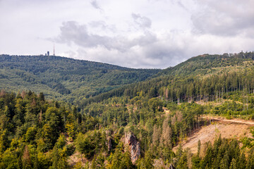 Obraz premium Sommerwanderung auf dem Höhenweg des Thüringer Waldes bei Bad Tabarz - Thüringen - Deutschland