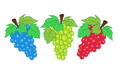 bunch of grapes with leaves