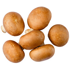 Brown cap champignons, top view