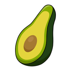Avocado. Cutaway illustration of avocado