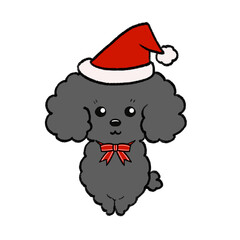 クリスマス黒トイプードル