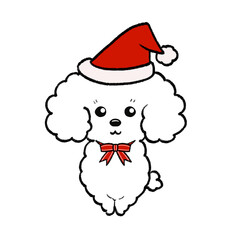 クリスマス白トイプードル