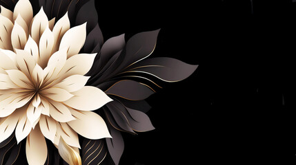 a large white flower blooming on black background 