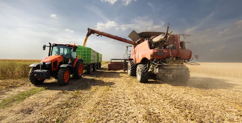 Fotobehang soybean pouring grain into tractor trailer © Dusan Kostic