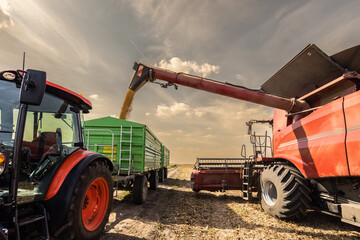 soybean pouring grain into tractor trailer