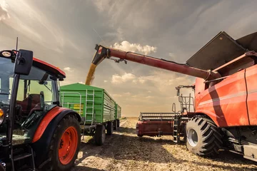 Schilderijen op glas soybean pouring grain into tractor trailer © Dusan Kostic