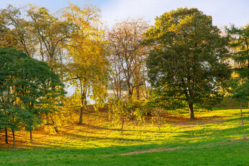 Autumn trees of public park in sunny day, sun ray shines through tree branches with yellow and green leaves. Fall season, nature landscape, warm sunny weather outside.