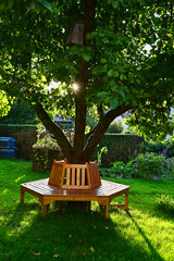 Round tree bench around a small apple tree in a garden.